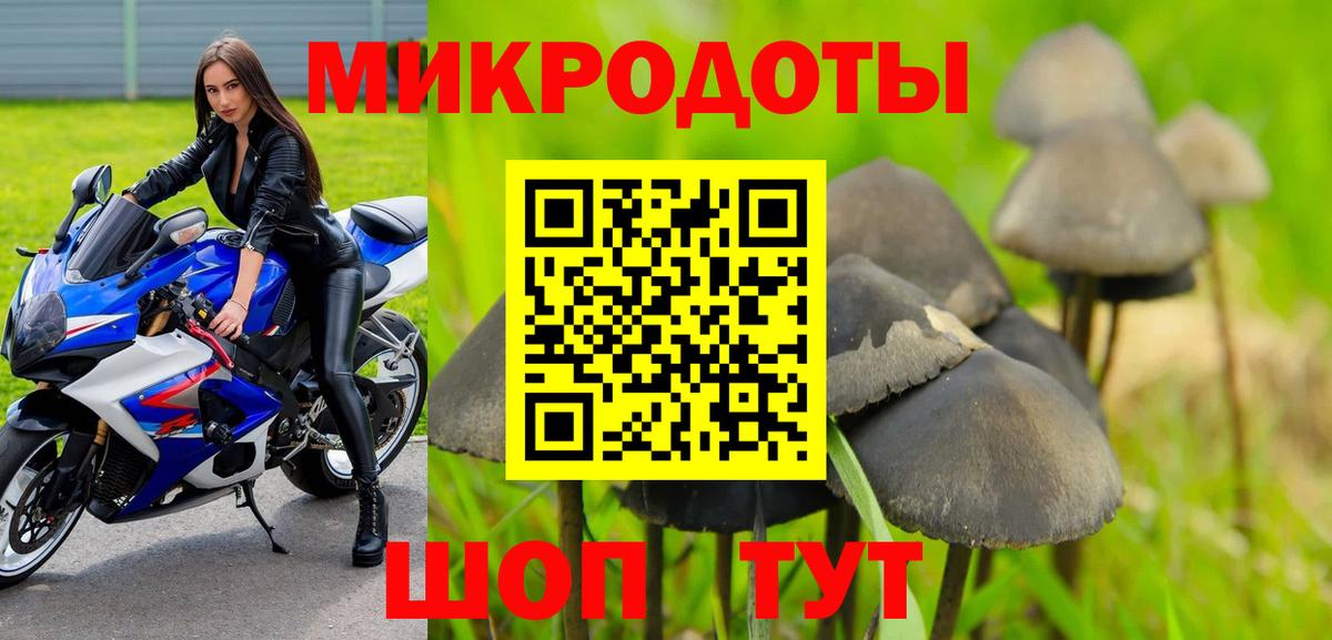 Галлюциногенные грибы Psilocybine cubensis  закладка  Добрянка  Вход с VPN 